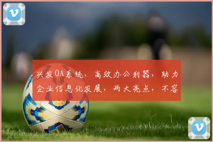 兴发OA系统，高效办公利器，助力企业信息化发展，两大亮点，不容错过