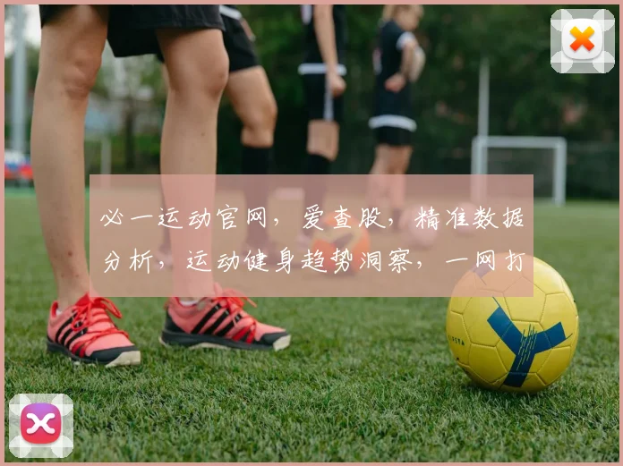 必一运动官网，爱查股，精准数据分析，运动健身趋势洞察，一网打尽