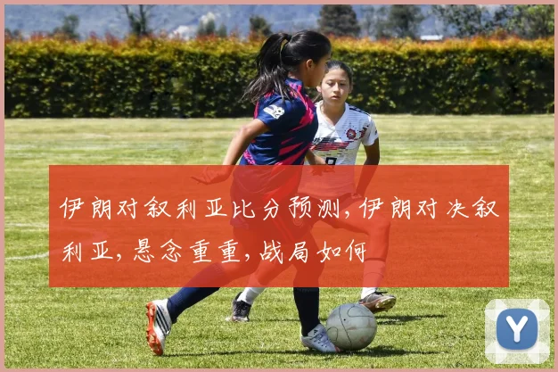 伊朗对叙利亚比分预测,伊朗对决叙利亚,悬念重重,战局如何