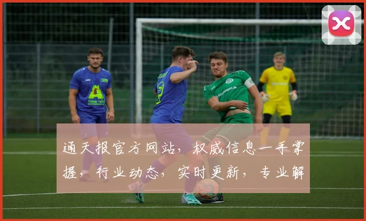 通天报官方网站，权威信息一手掌握，行业动态，实时更新，专业解读，不容错过