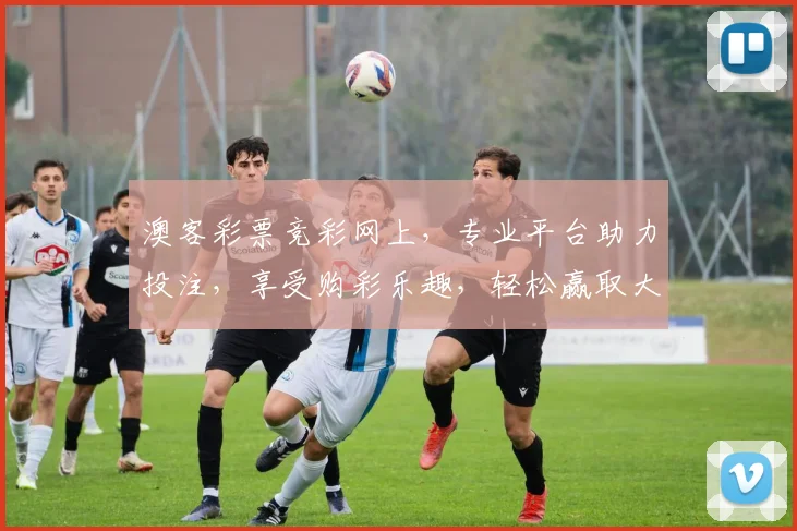 澳客彩票竞彩网上，专业平台助力投注，享受购彩乐趣，轻松赢取大奖