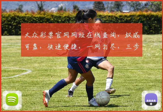 大众彩票官网网址在线查询，权威可靠，快速便捷，一网打尽，三步即可